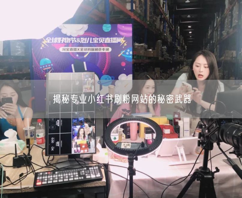 揭秘专业小红书刷粉网站的秘密武器